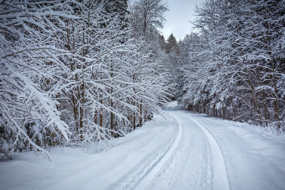 Before you Hit the Roads this Winter, Don't Forget to Take These Steps to Stay Safe.